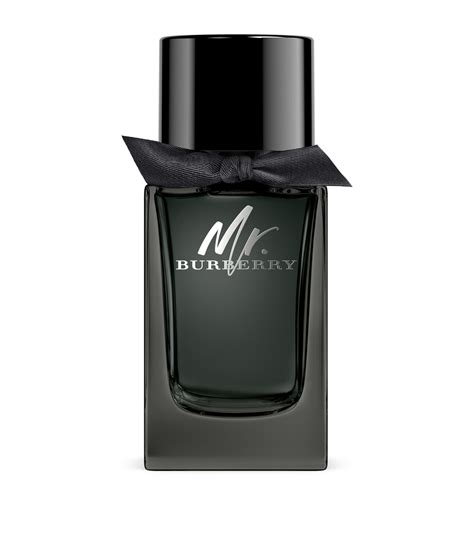 mr burberry eau toilette price|mr burberry indigo 100ml.